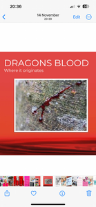 Dragons Blood Anti-ageing & Calming Collection