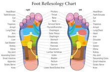 Load image into Gallery viewer, REFLEXOLOGY
